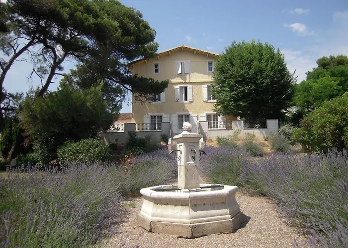 Chateau Borie Neuve